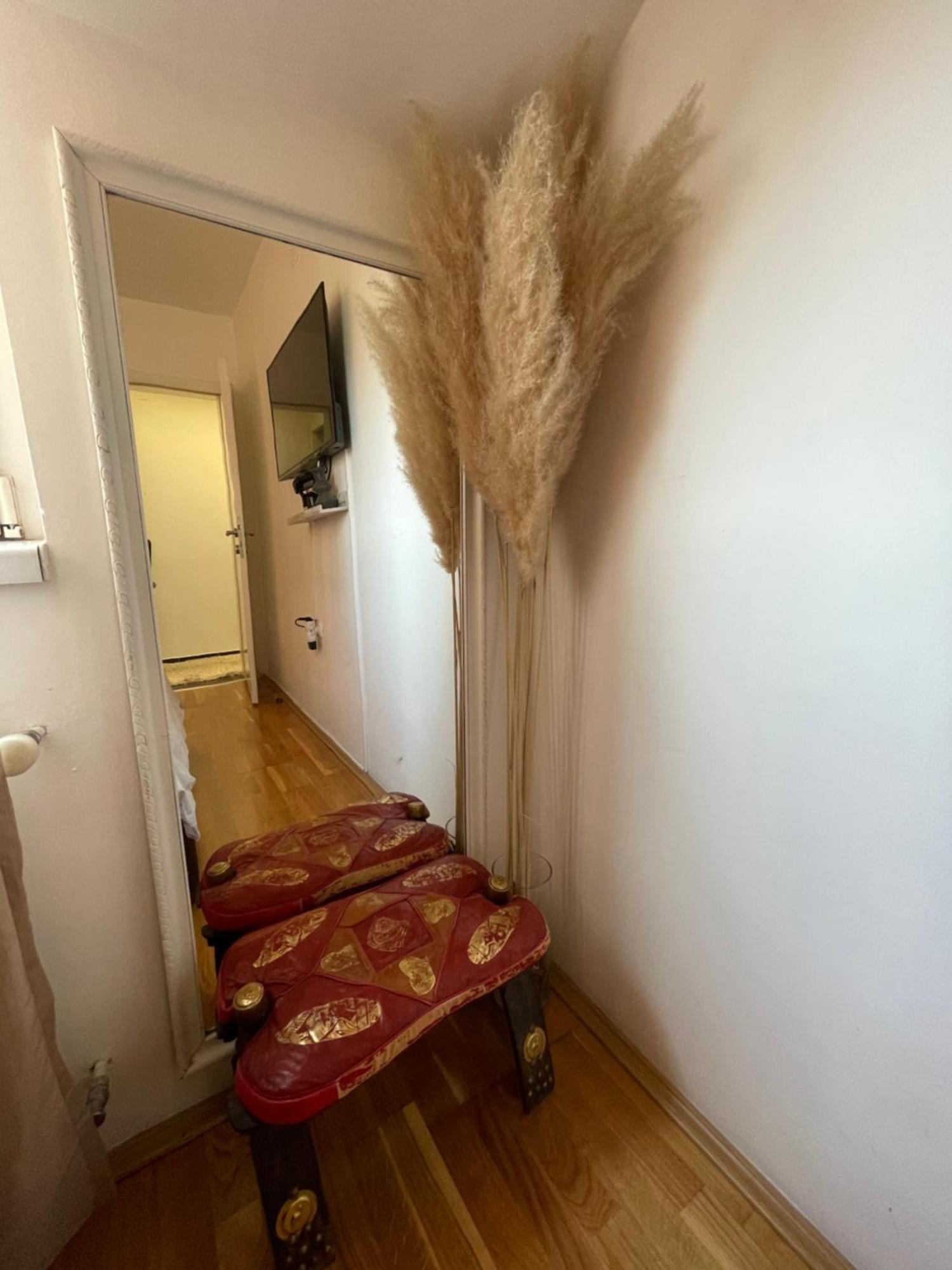 Charme Apartman Kruševac Exteriér fotografie